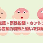 【図解】真性包茎・仮性包茎・カントン包茎。各種類の特徴と違い